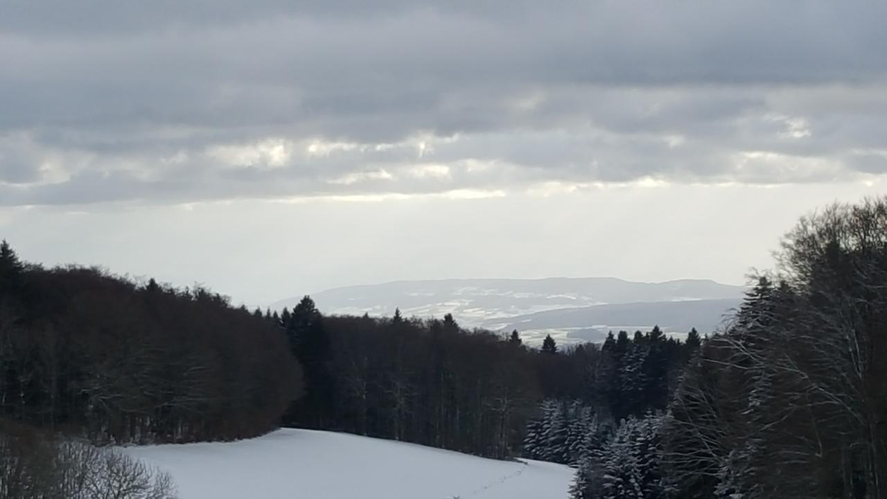 Hotel Gasthof Zum Hirschen à Strittmatt Extérieur photo